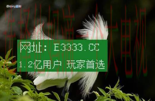 凯时娱乐下载链接全攻略指南